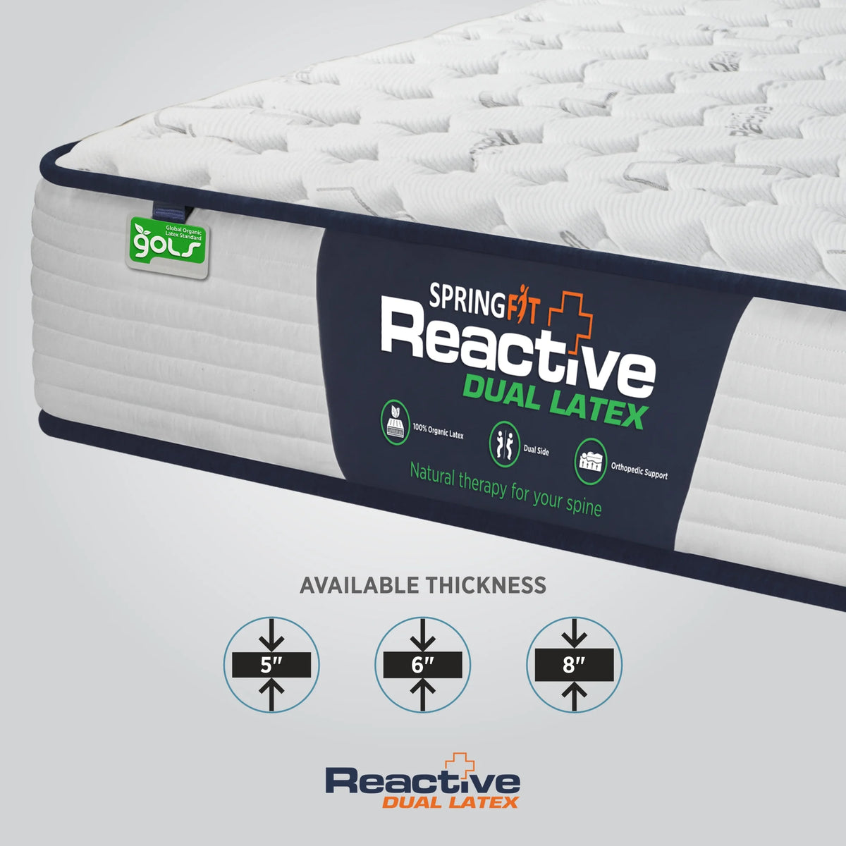 Corner close-up of the Springfit Reactive Dual Latex mattress showing its GOLS certified label, navy brand panel with 100% Organic Latex, Dual Side, and Orthopedic Support icons, with an infographic showing three available thickness options: 5 inches, 6 inches, and 8 inches