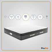 ProActiv Plus Mattress