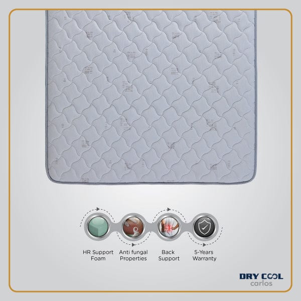 Dry Cool Carlos Mattress