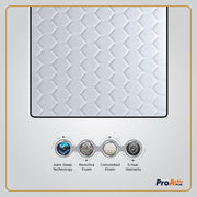 ProActiv Plus Mattress
