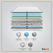 ProActiv Plus Mattress